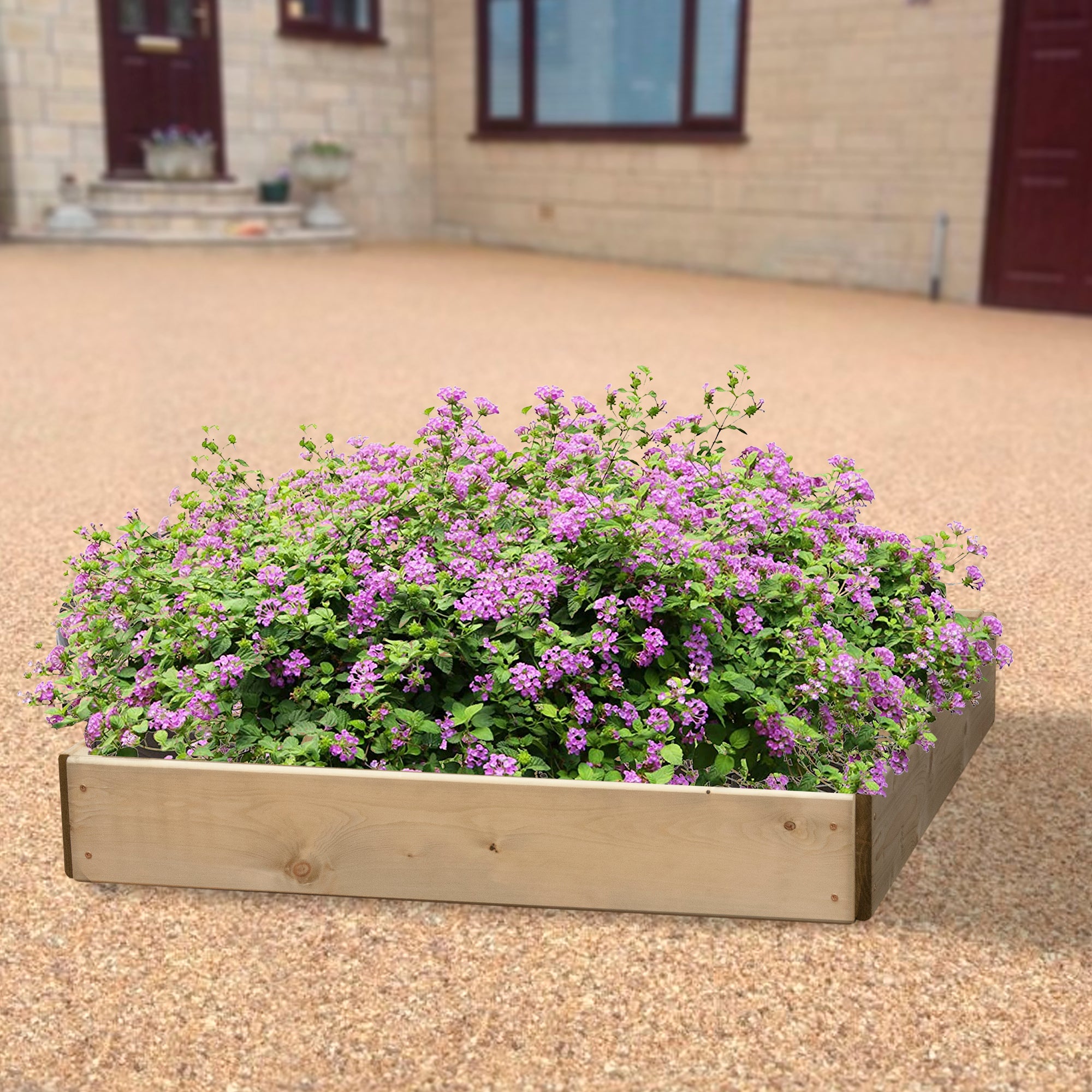 Timber Raised Bed Square
