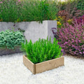 Timber Raised Bed Triangular