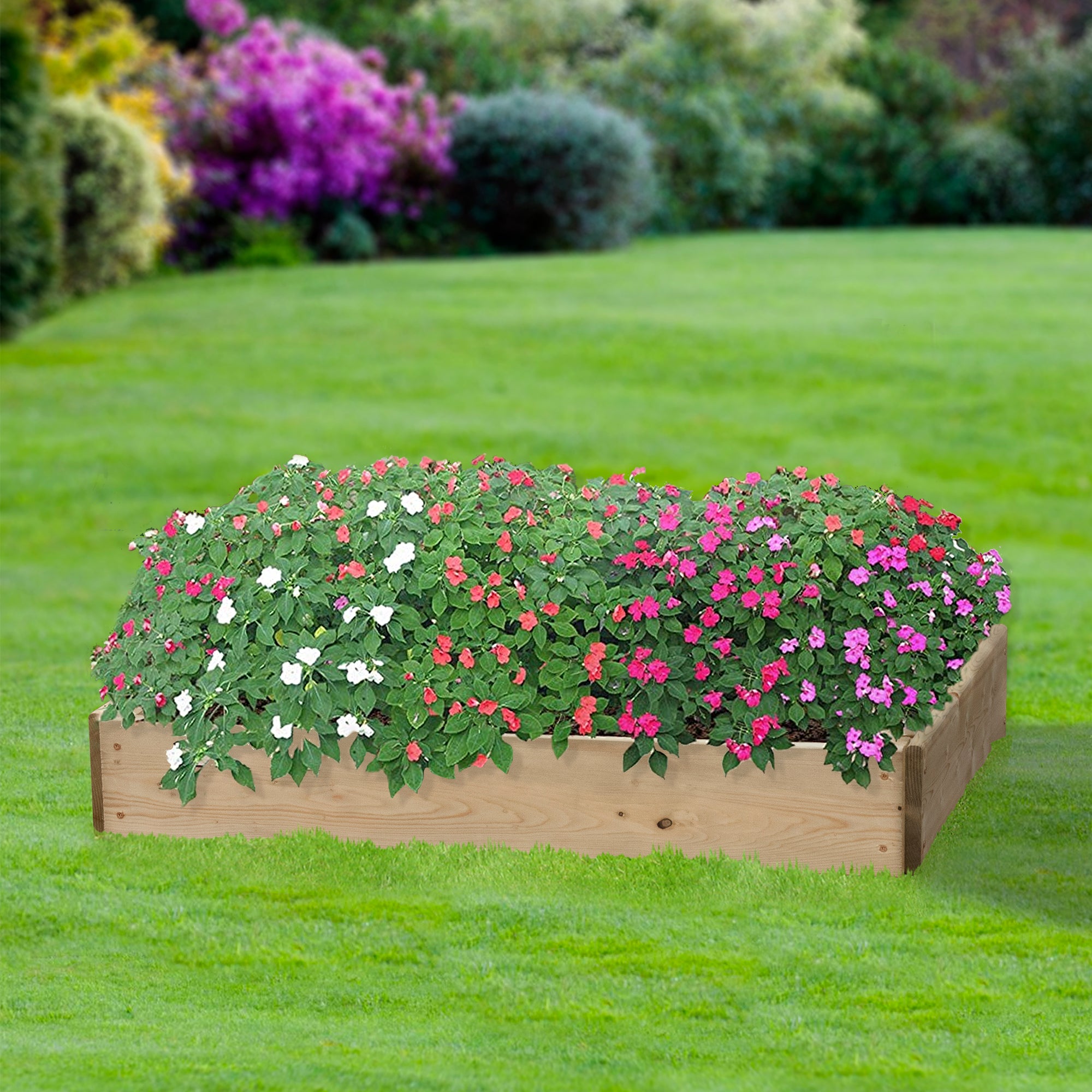 Timber Raised Bed Rectangular