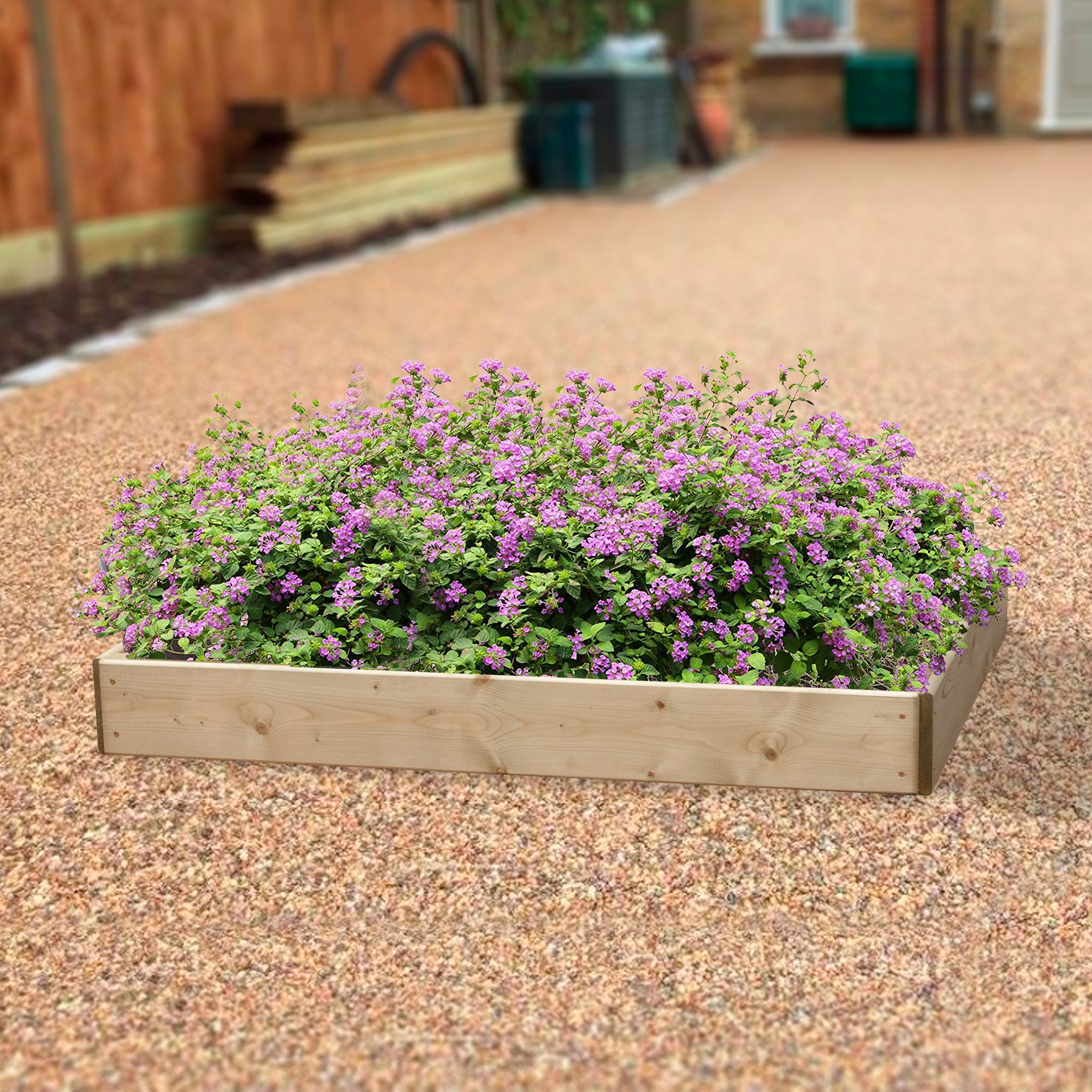 Timber Raised Bed Rectangular