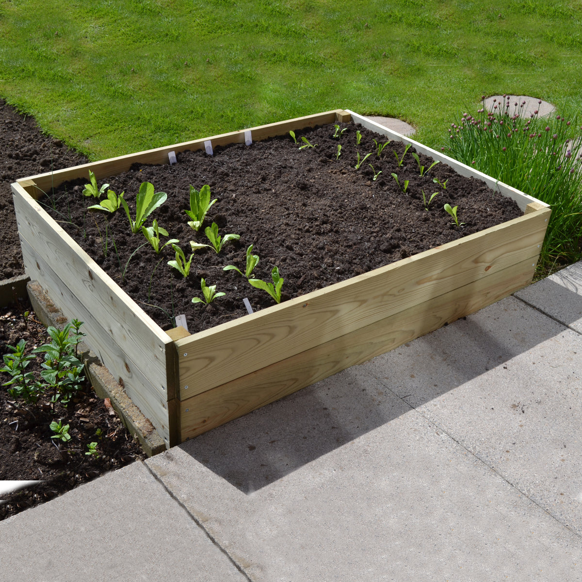 Timber Raised Bed Rectangular