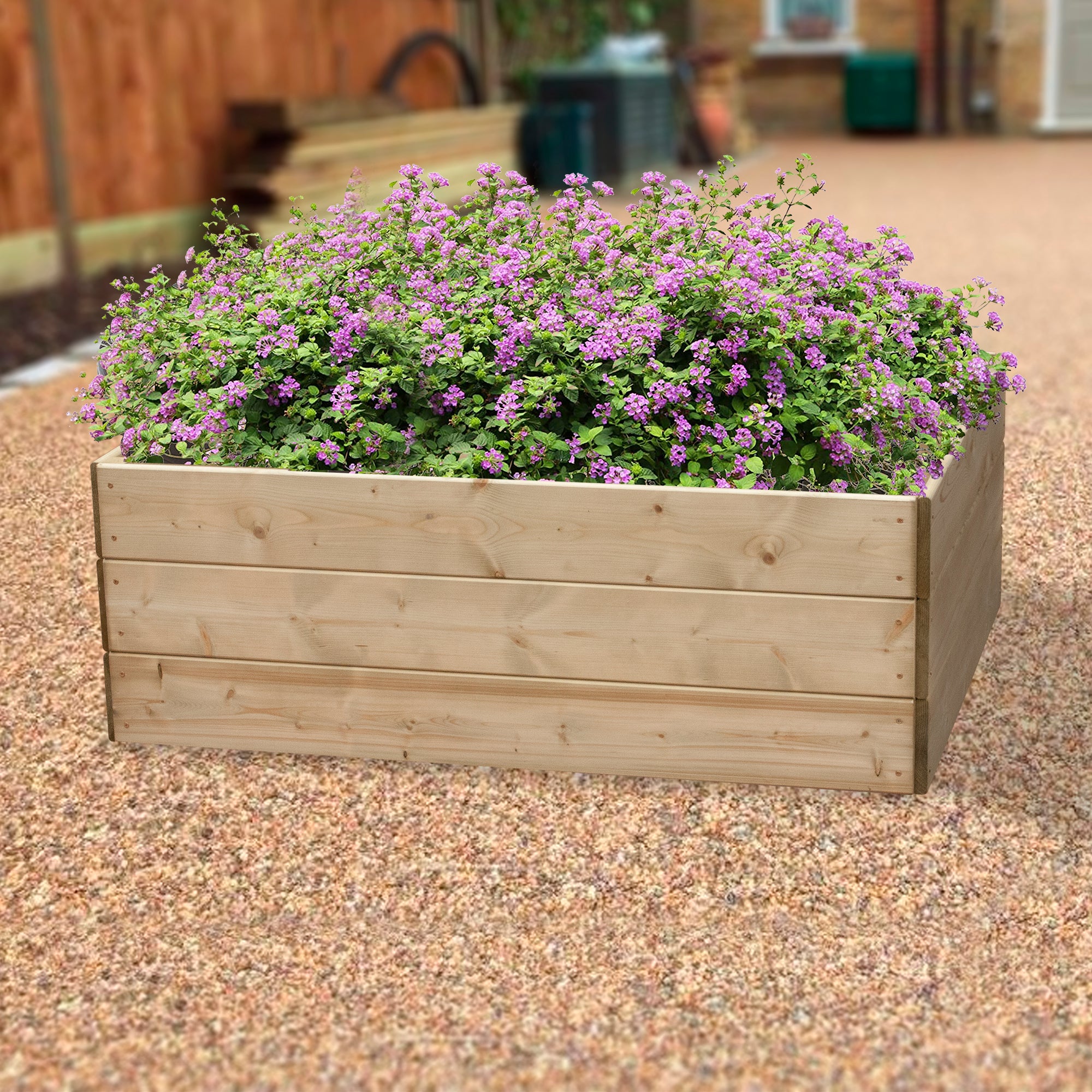 Timber Raised Bed Rectangular
