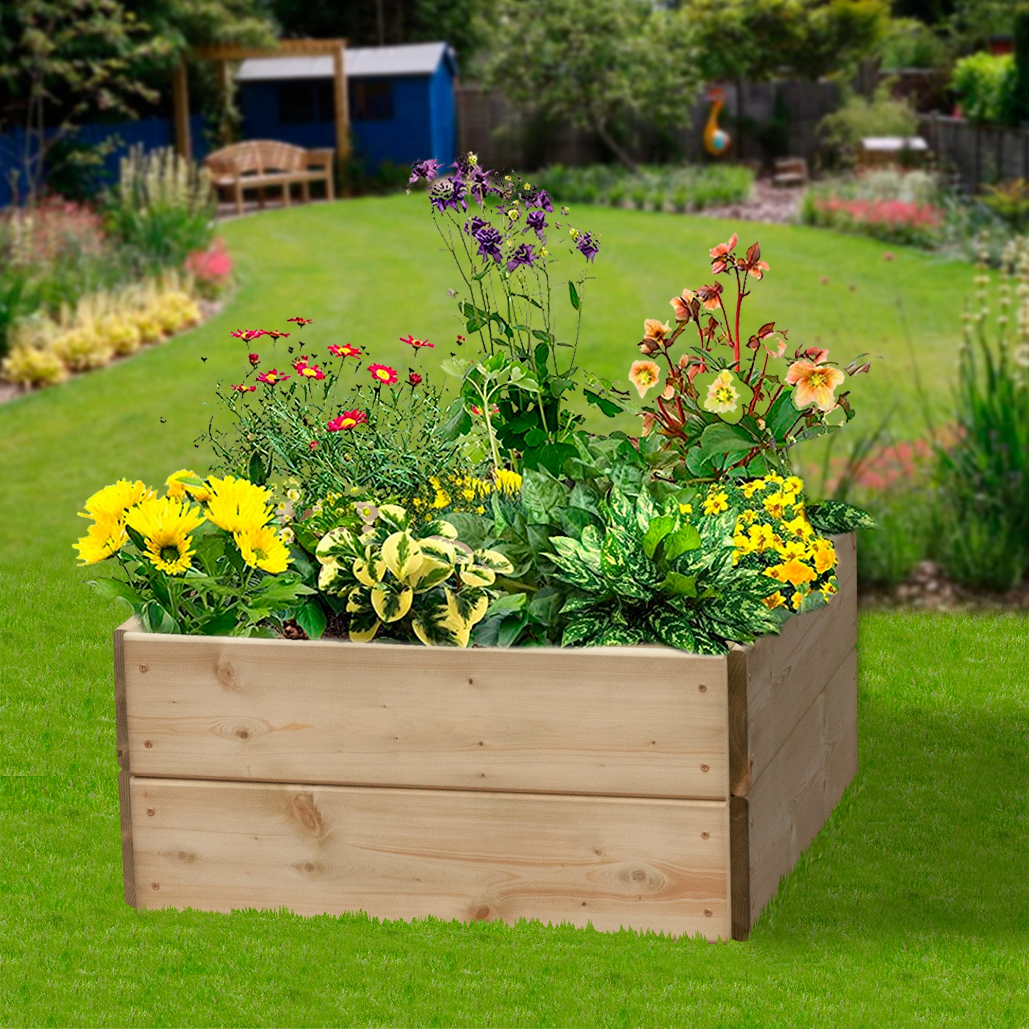 Timber Raised Bed Square