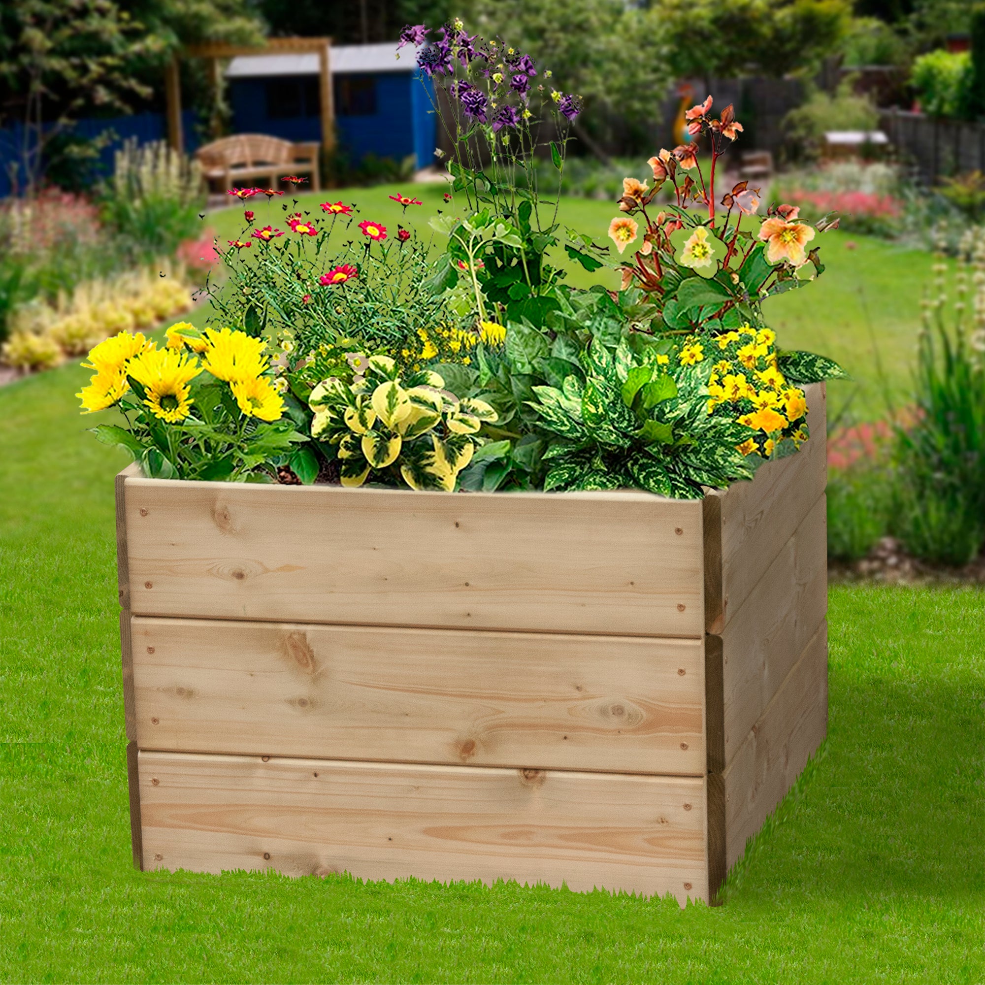 Timber Raised Bed Square