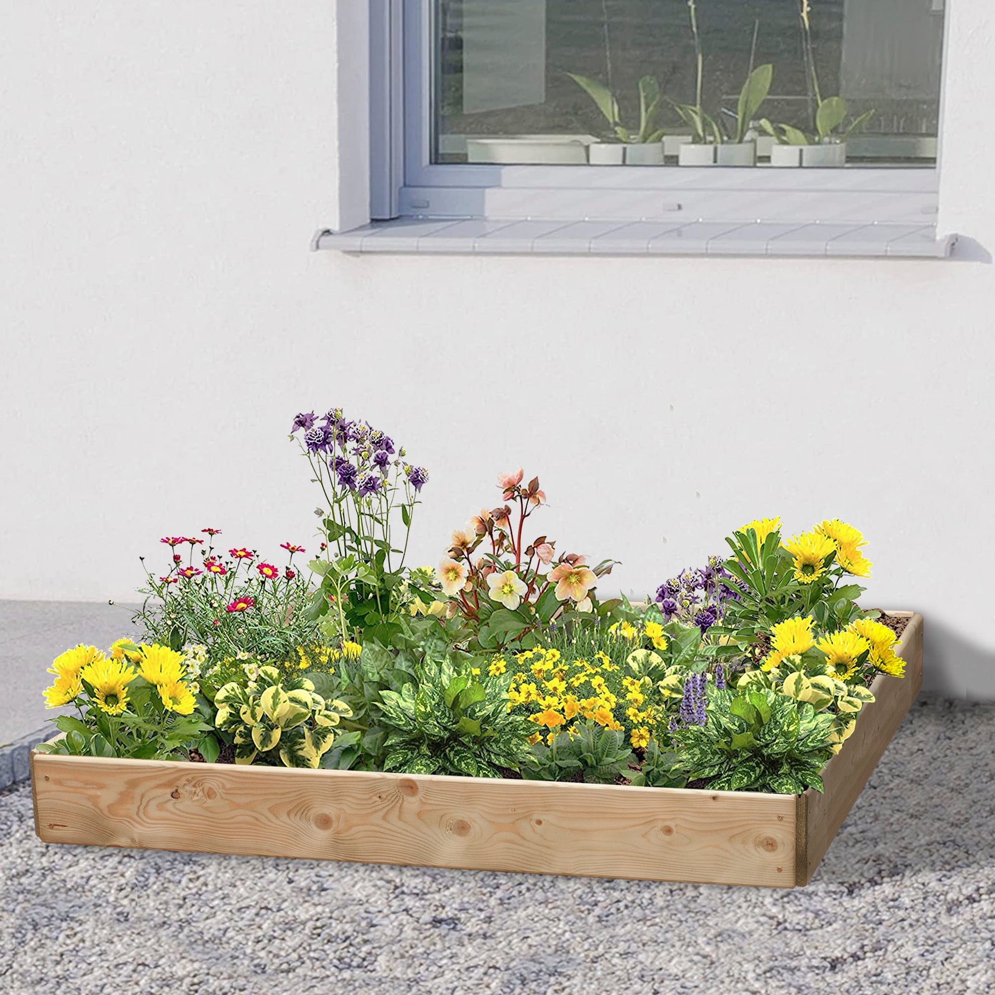 Timber Raised Bed Square