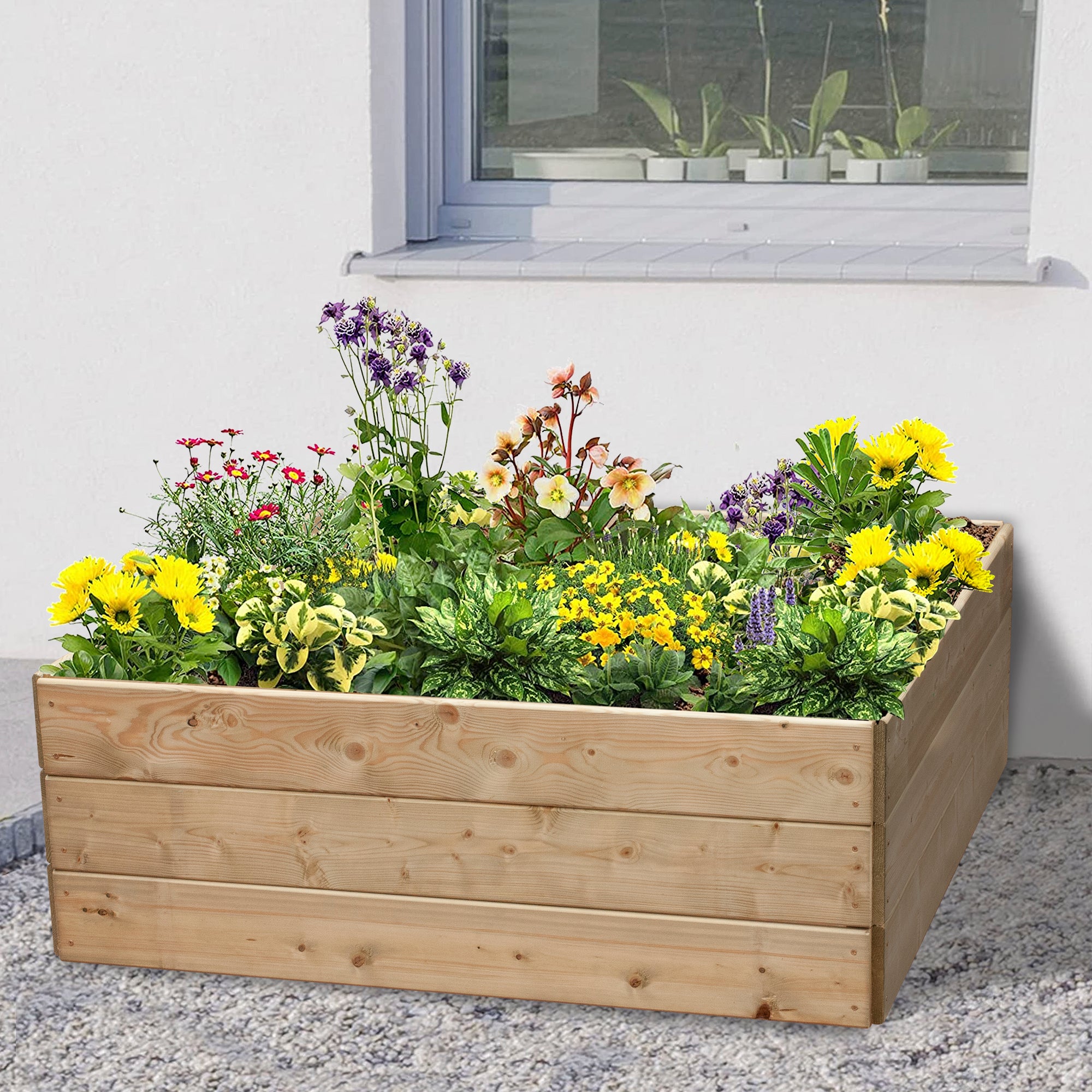 Timber Raised Bed Square