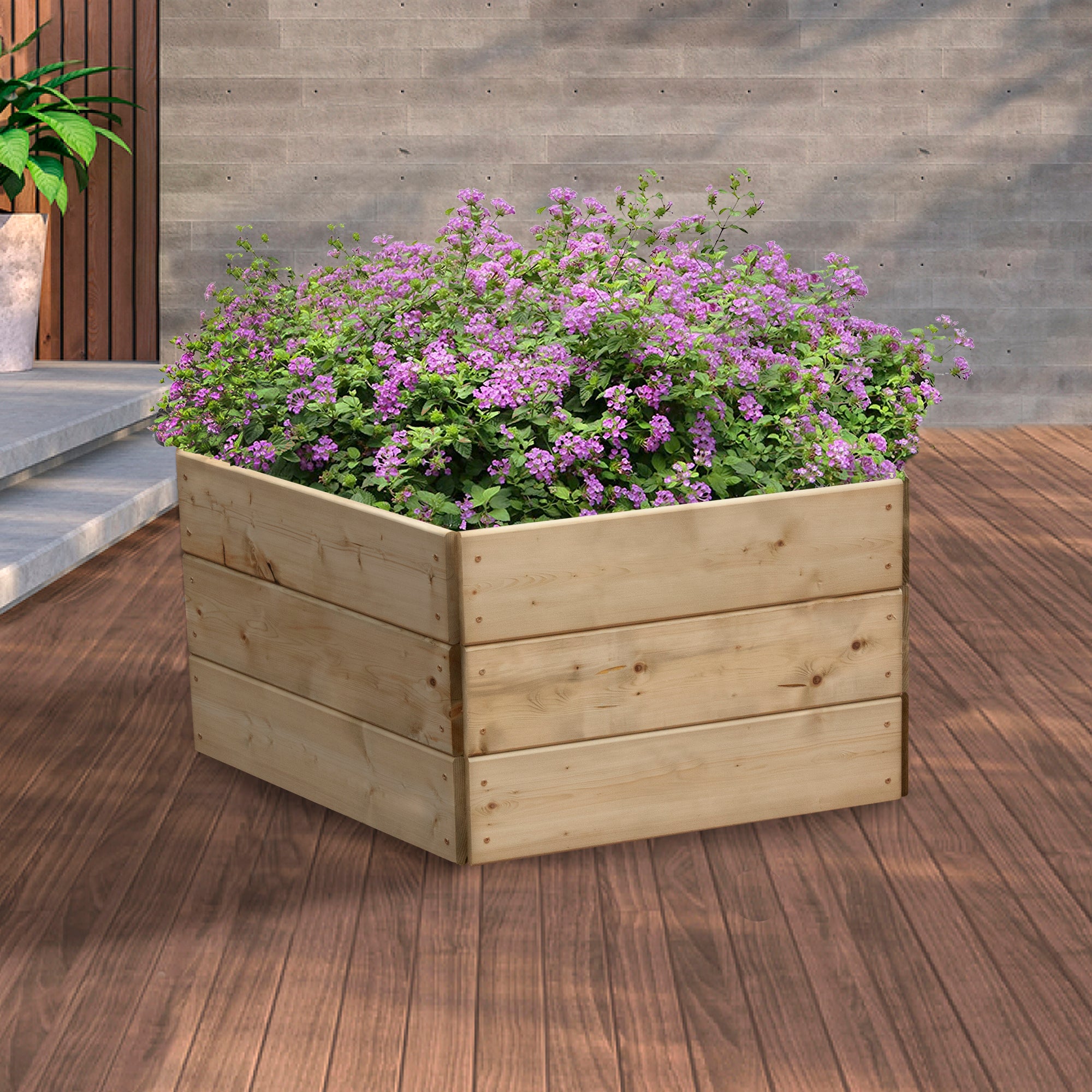 Timber Raised Bed Pentagonal