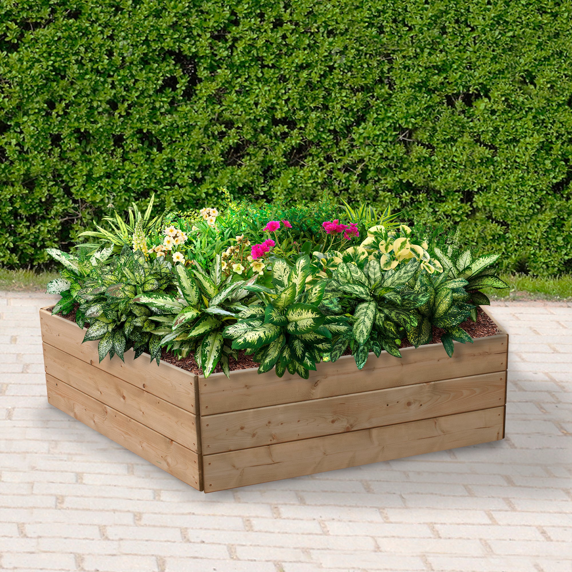 Timber Raised Bed Pentagonal