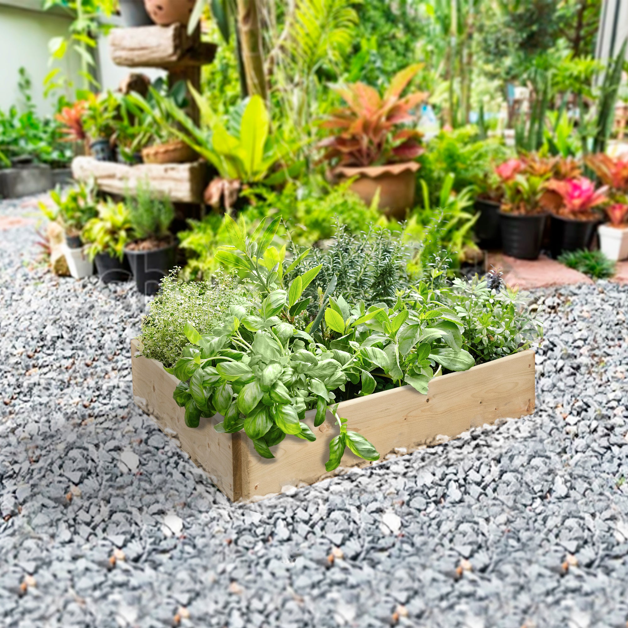 Timber Raised Bed Triangular