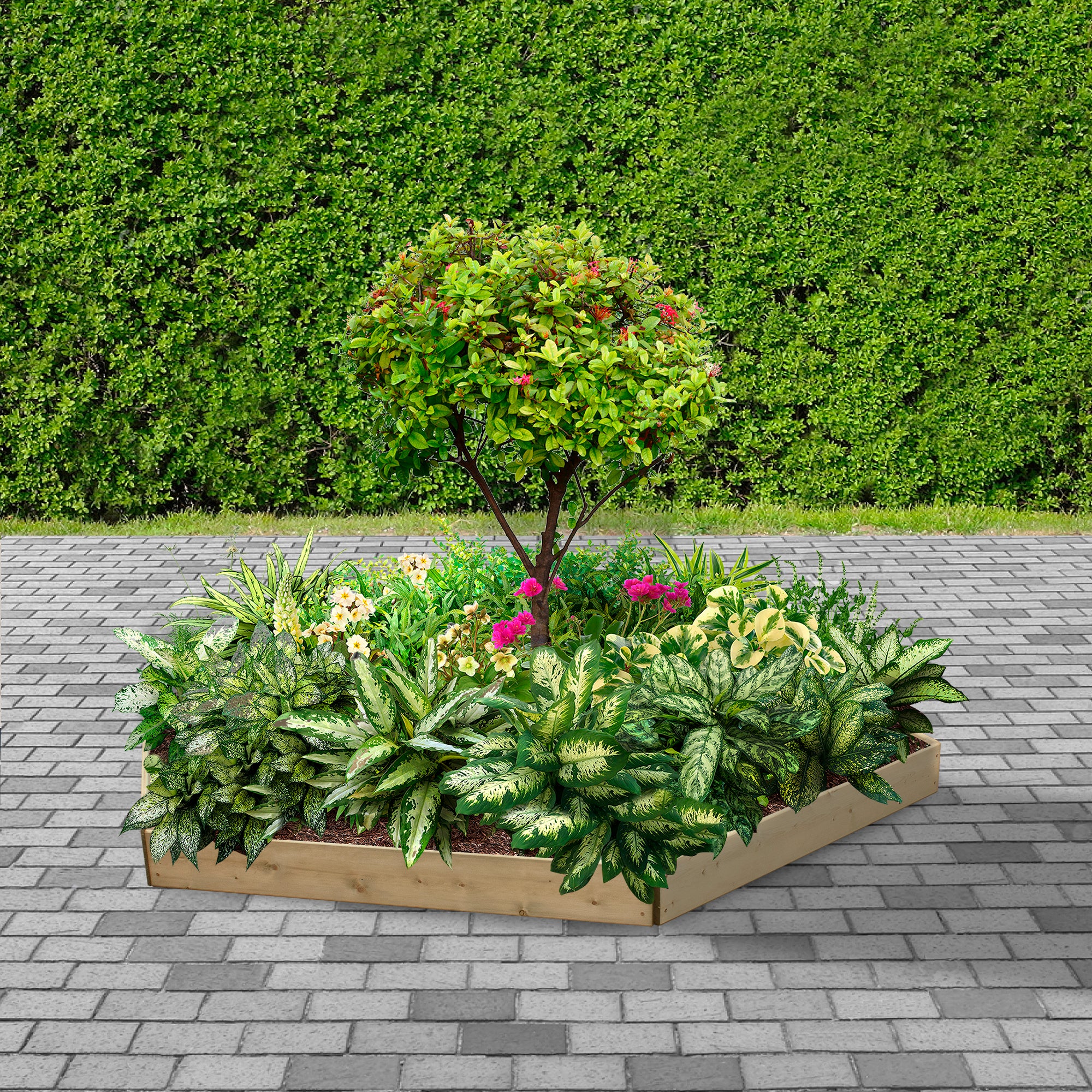 Timber Raised Bed Hexagonal
