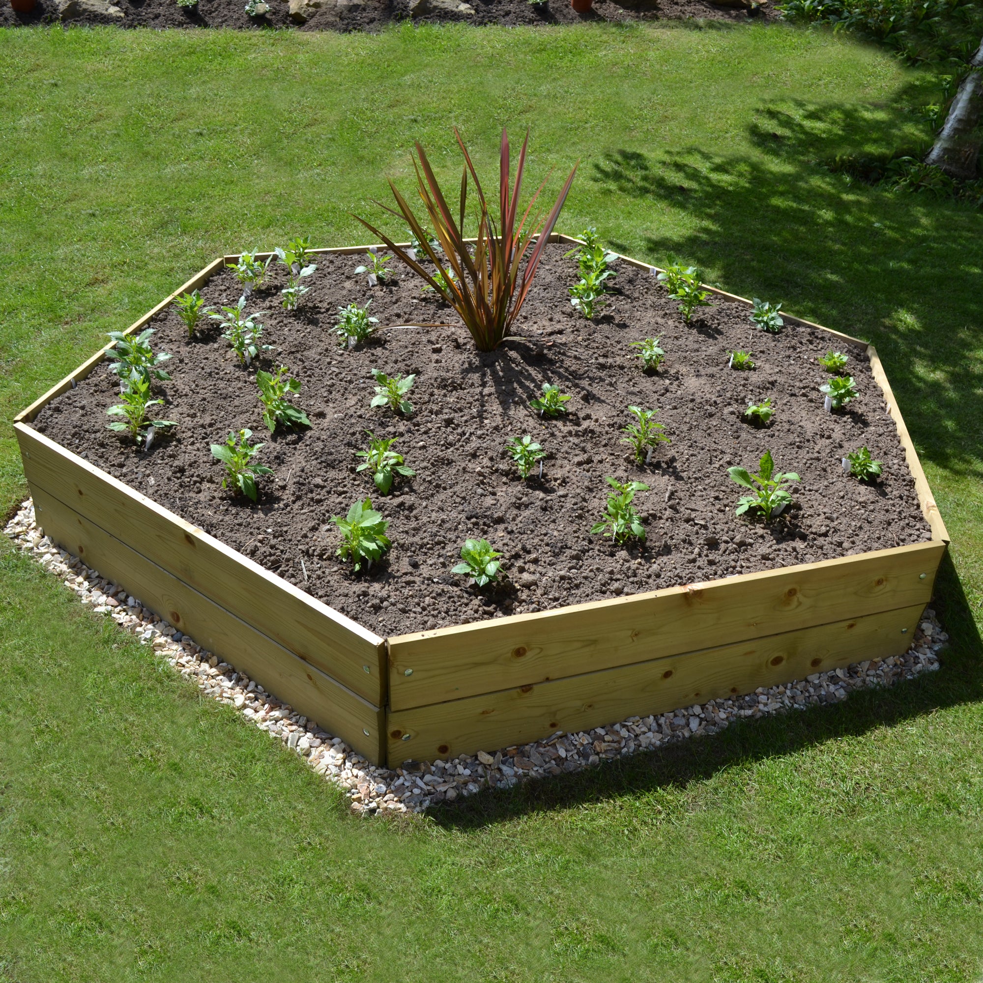 Timber Raised Bed Hexagonal