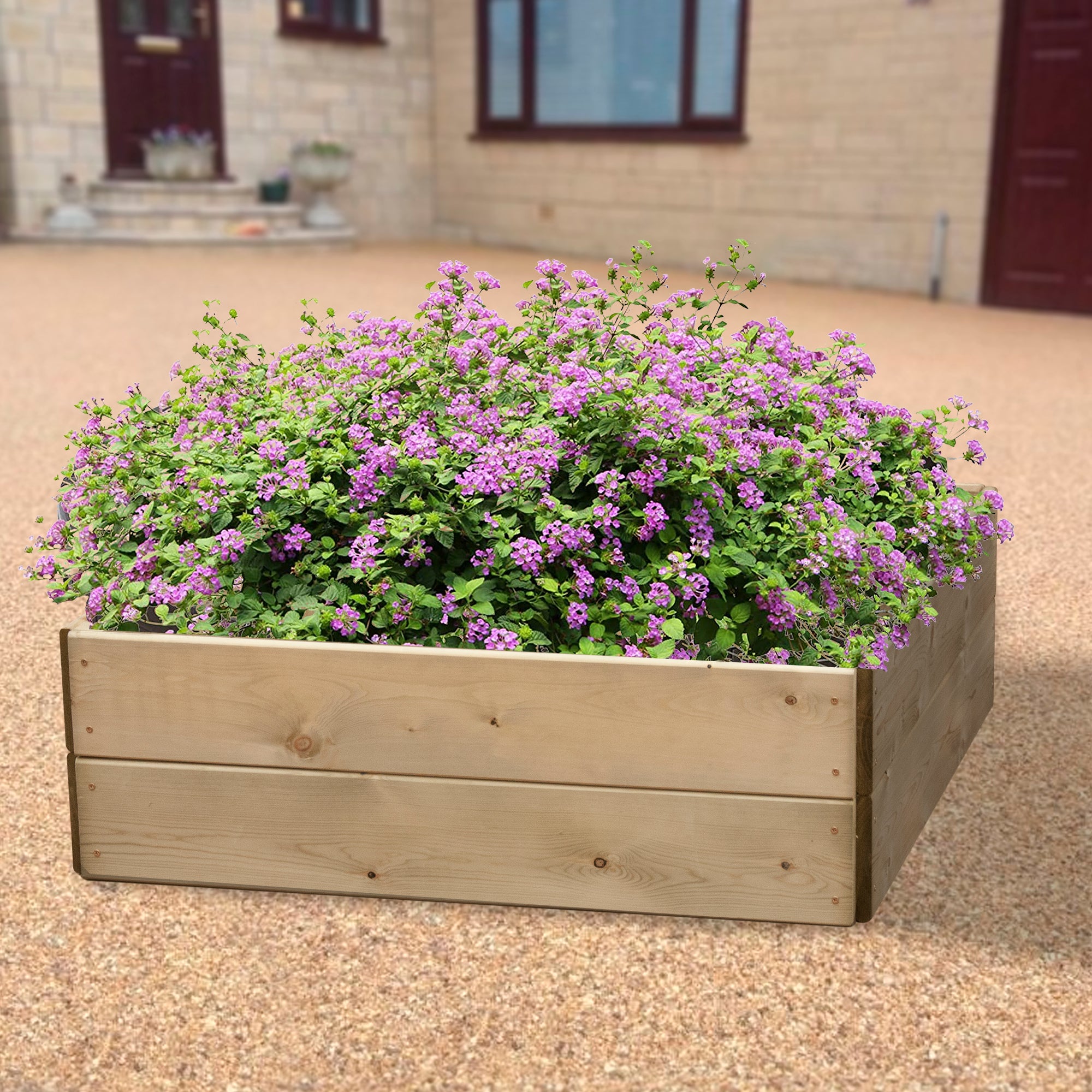 Timber Raised Bed Square