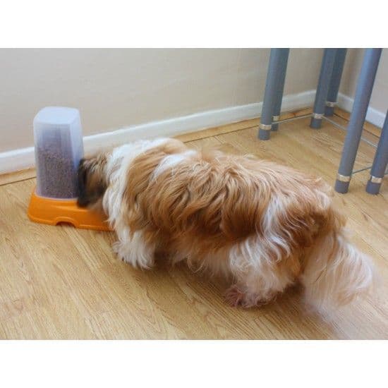 Automatic Pet Food Bowl