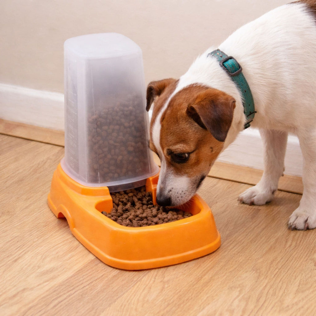 Automatic Pet Food Bowl