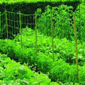 Bean and Pea Netting