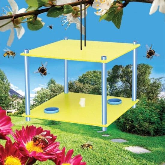 Bee Kind - Bee Feeder