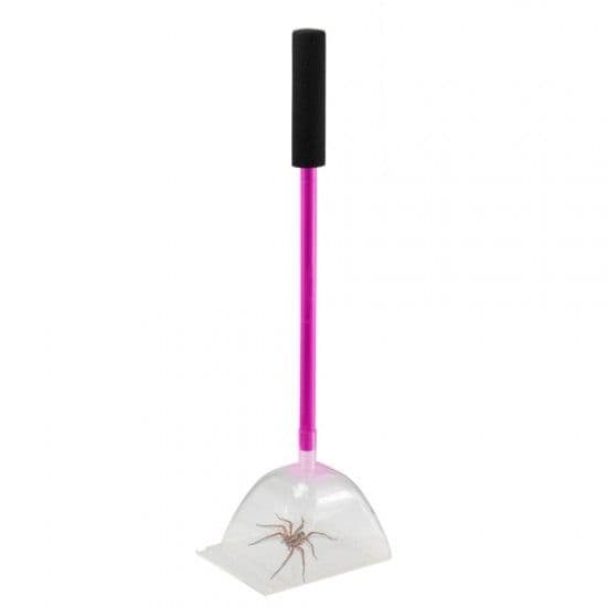 Big Bug Catcher Insect & Spider Trap