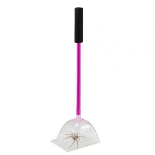 Big Bug Catcher Insect & Spider Trap