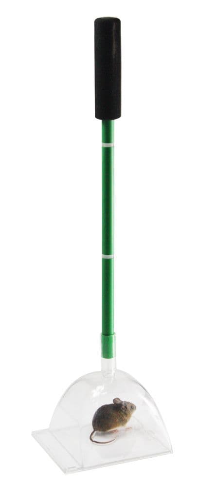 Big Bug Catcher Insect & Spider Trap