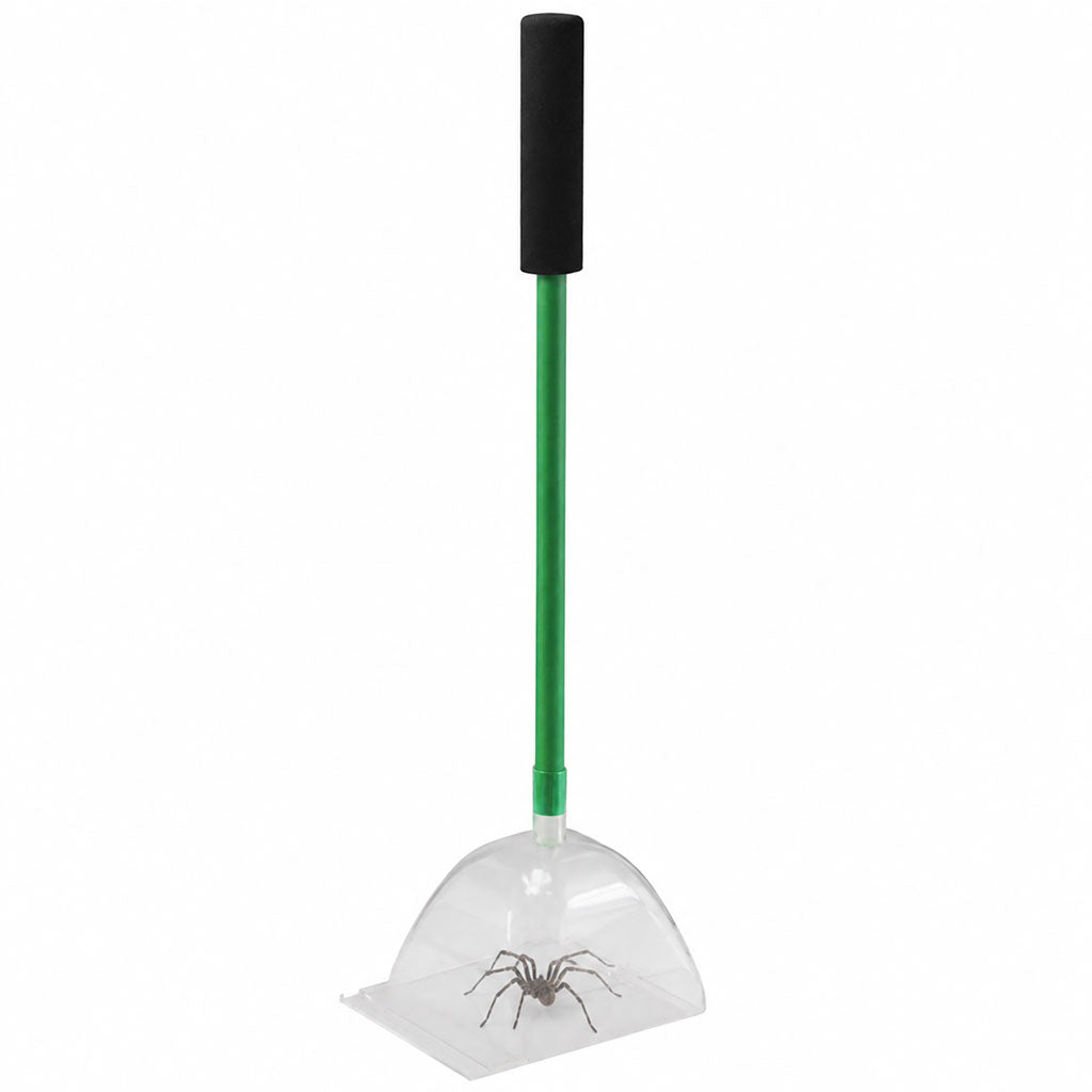 Big Bug Catcher Insect & Spider Trap