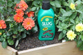 Bio Slug Mini Pellets