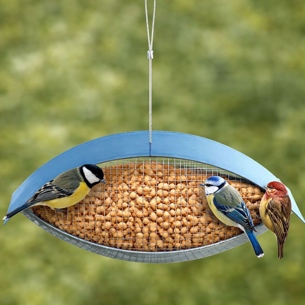 Bird Peanut Feeder