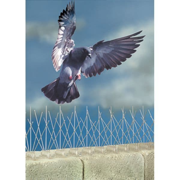 Bird Spikes