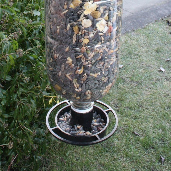 Bottle Bird Feeder