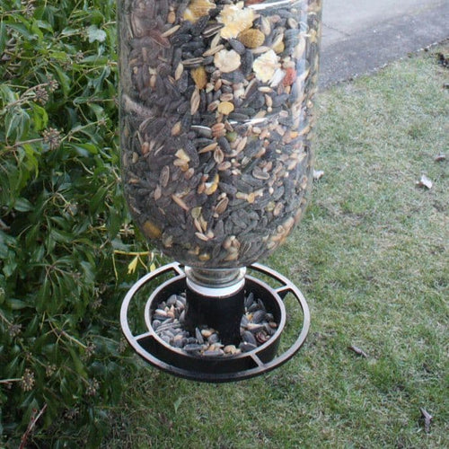 Bottle Bird Feeder