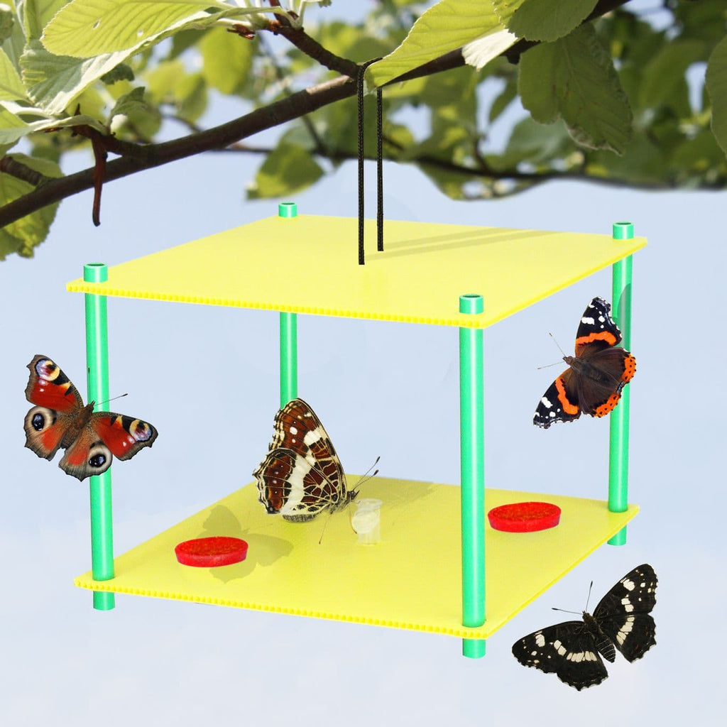 Butterfly Feeder
