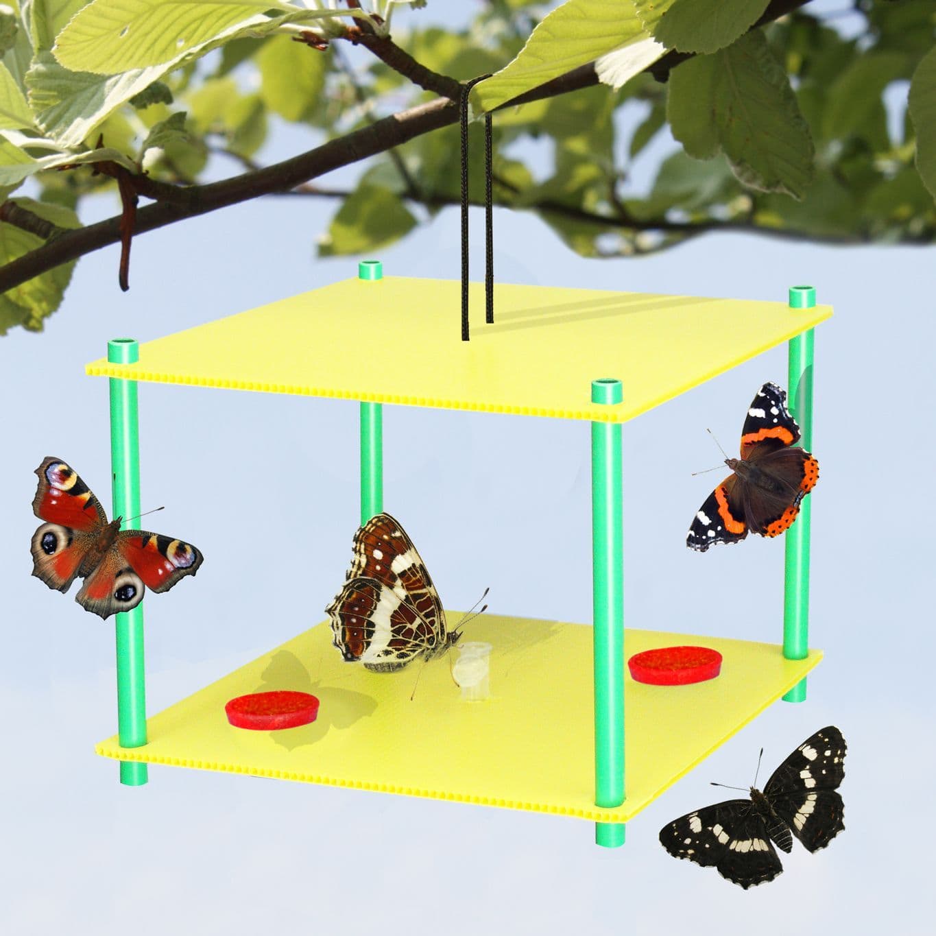 Butterfly Feeder
