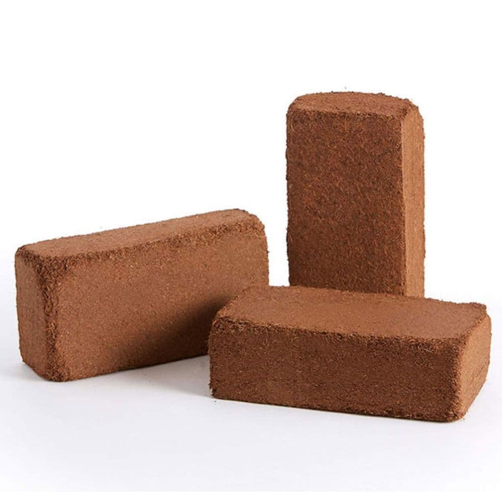 Coir Briquettes