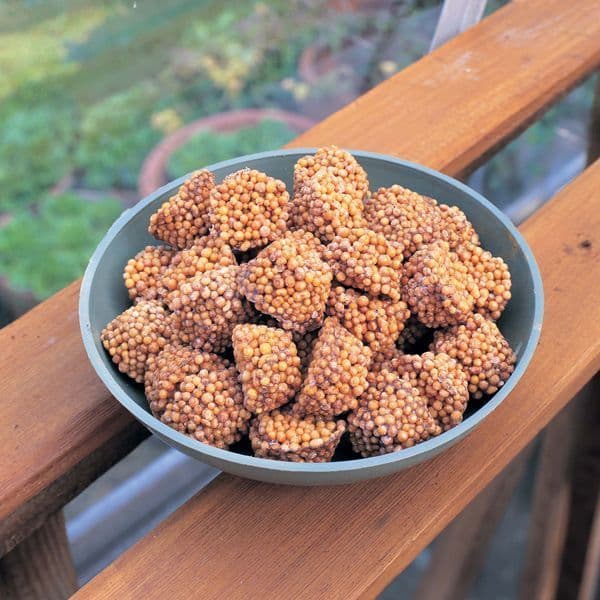 Feed and Forget - 24 Tablets
