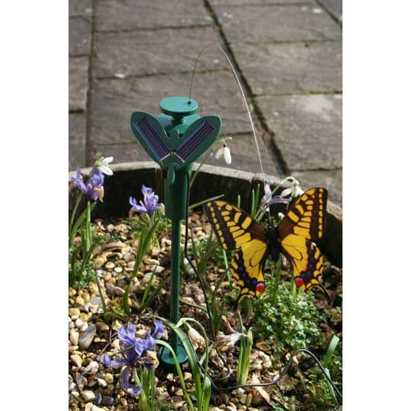 Fluttering Butterfly