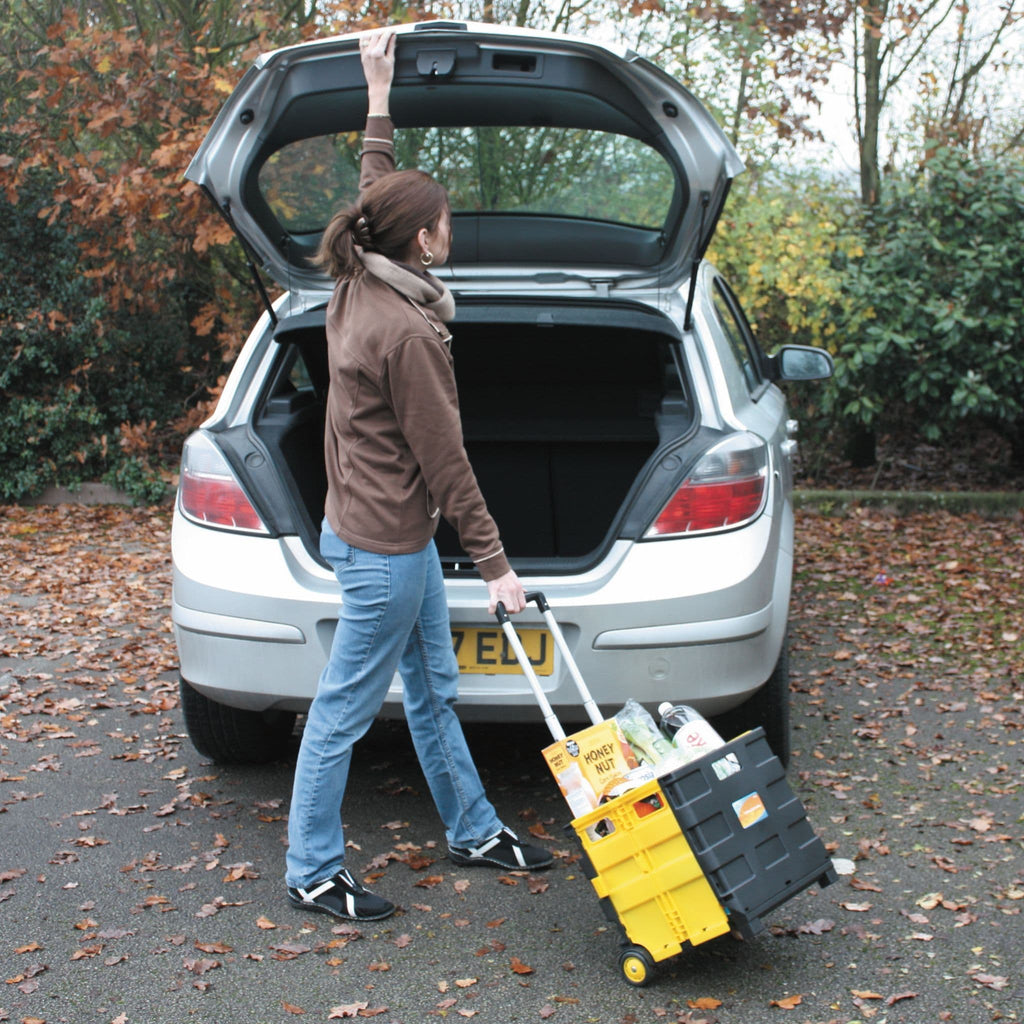 Folding Trolley Cart