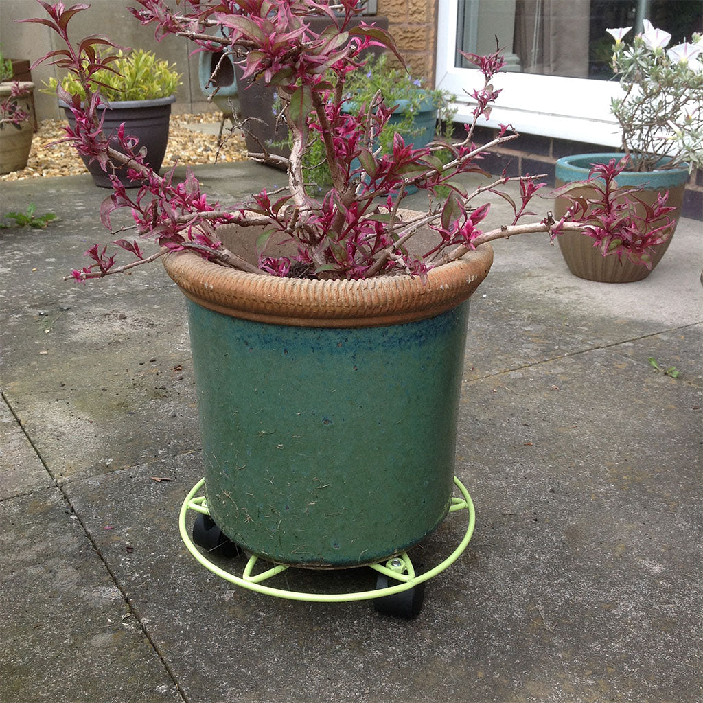 Plant Mover