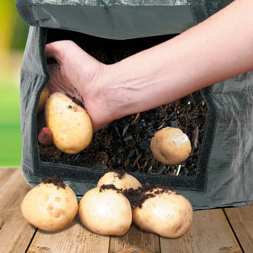 Potato Planter – Reusable Grow Bag for Patios & Small Gardens