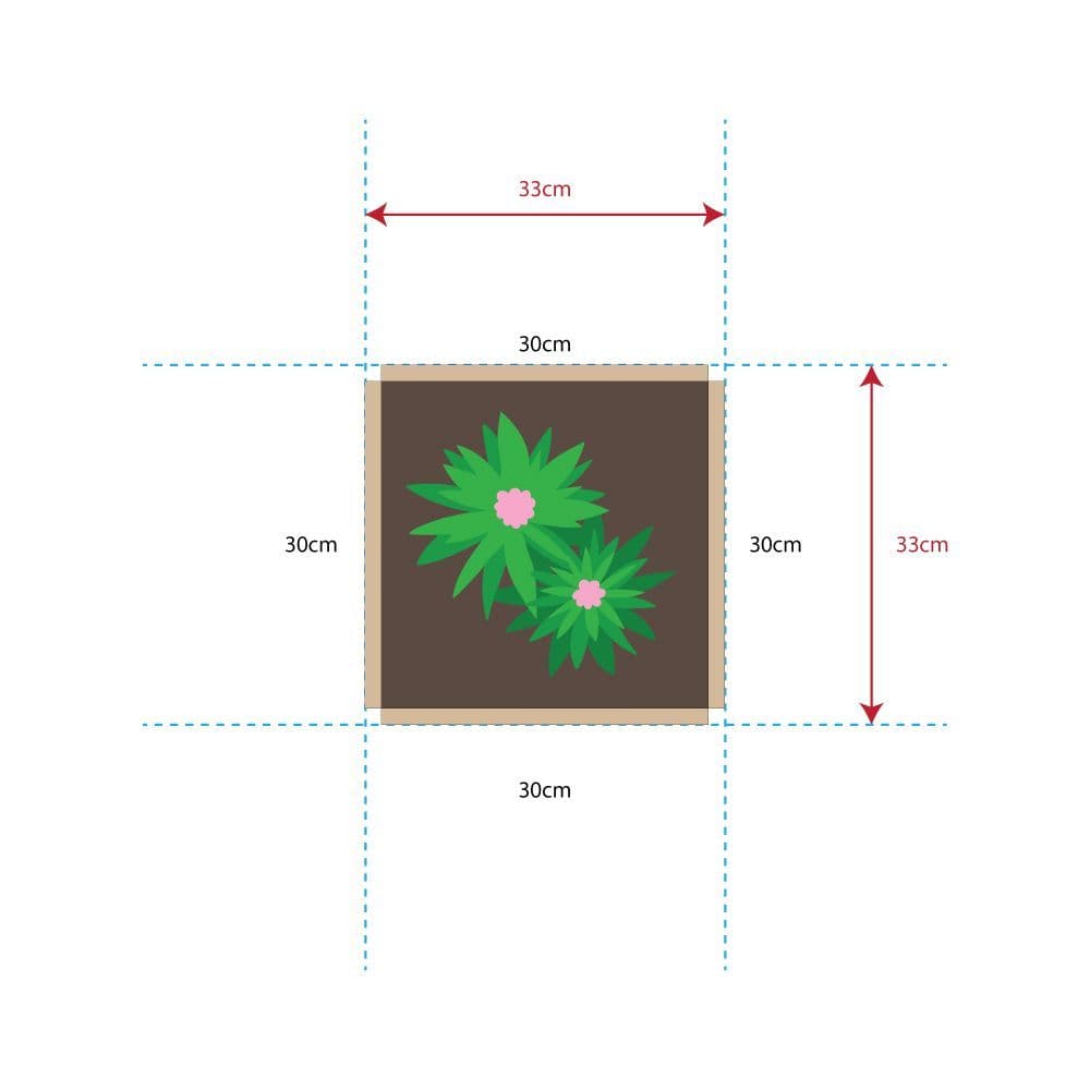 Greena Tree Tub - Square