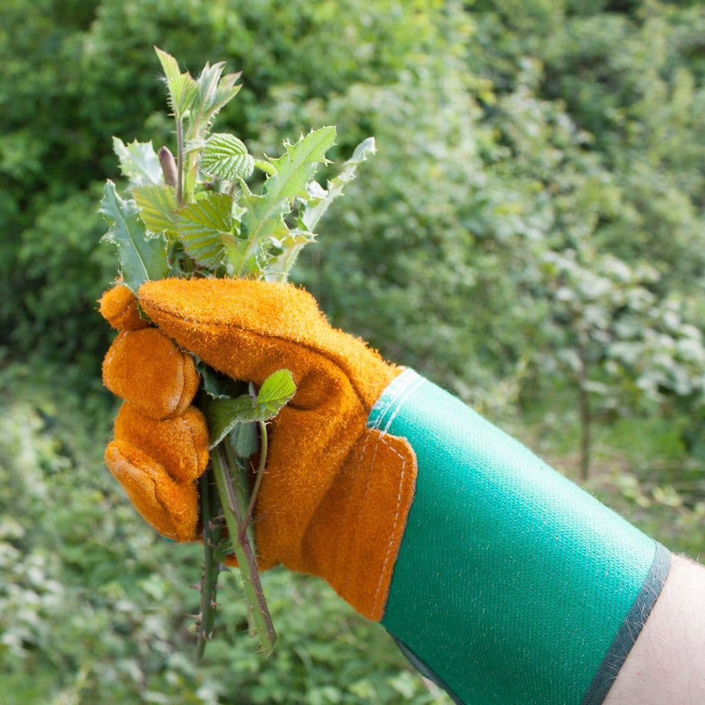 Heavy-Duty Thorn-Proof Leather Gardening Gloves