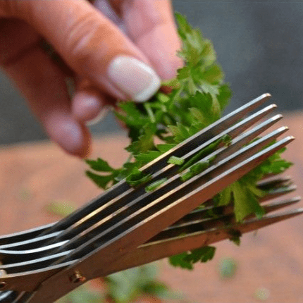 Herb Scissors