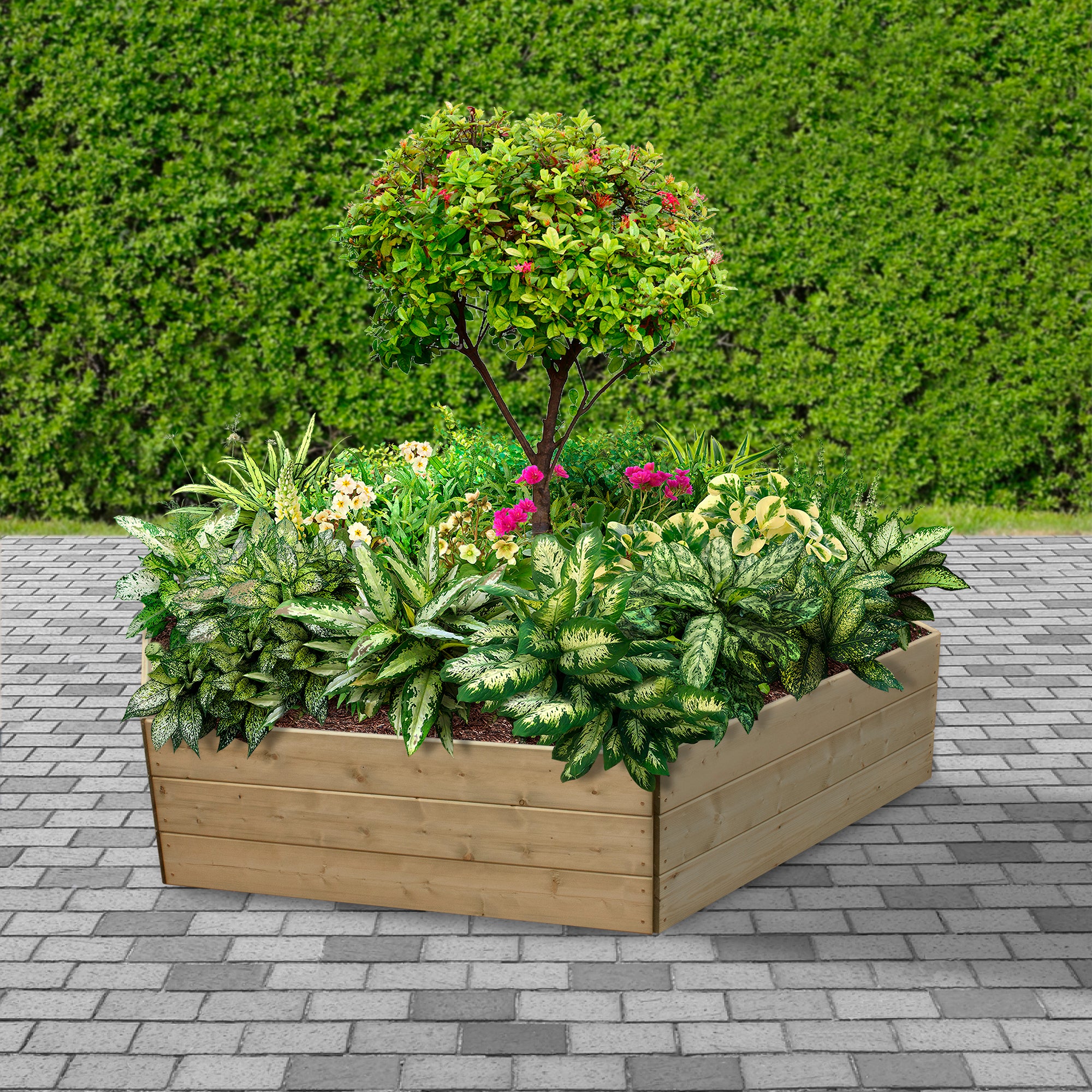 Timber Raised Bed Hexagonal