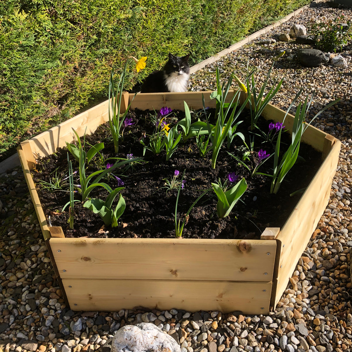 Timber Raised Bed Hexagonal