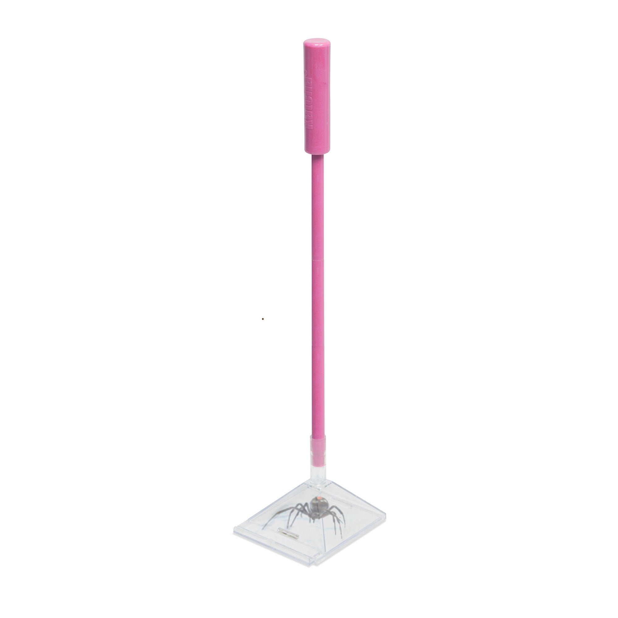Katcha Bug - Spider Catcher