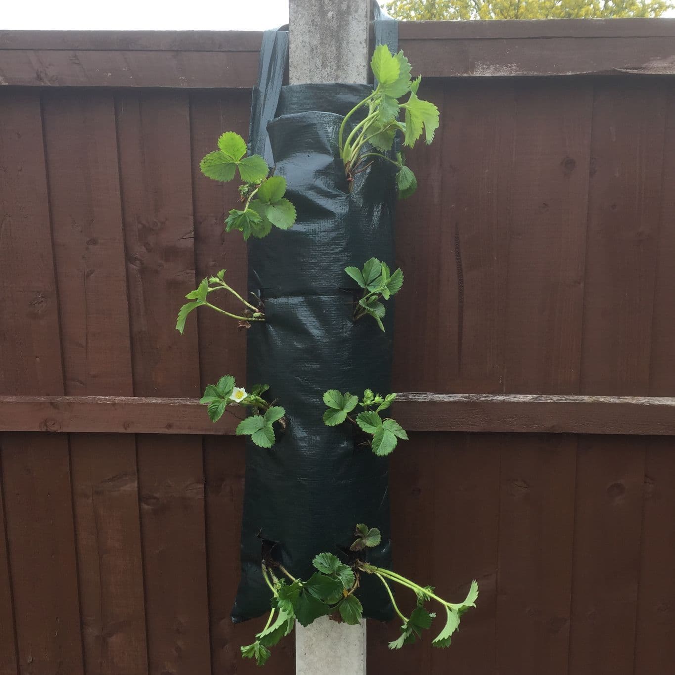 Long Hanging Flower Planters