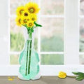 Magic Vases