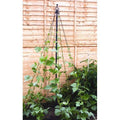 Mini Maypole Plant Support System