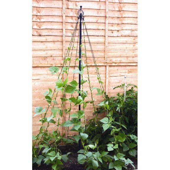 Mini Maypole Plant Support System