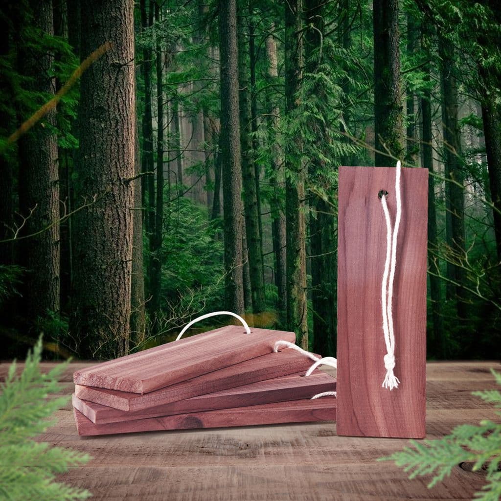 Natural Cedar Wood Moth Repel Blocks