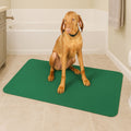 Non-Slip Pet Mat