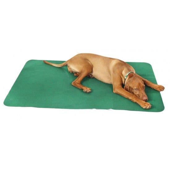 Non-Slip Pet Mat